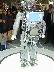 dscn0036.jpg