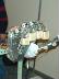 dscn0105.jpg